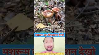 Building Wooden Log Cabin In Forest Survival House Step By Step Part 28