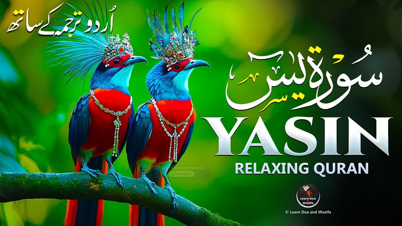 Surah Yasin (Yaseen) سورة يس | This Will Touch Your Heart and Soul إن شاء الله | #surahyasinfull