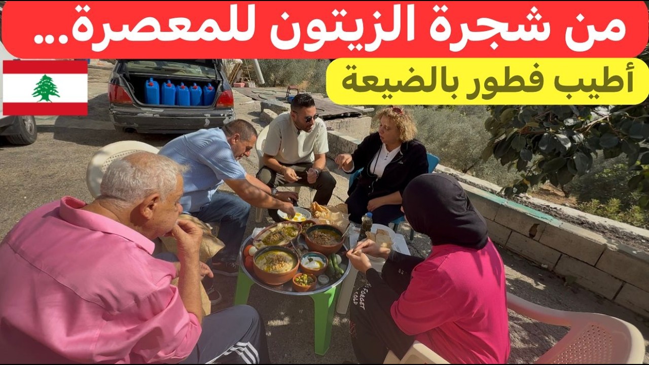 شو سعر 💵 تنكة زيت الزيتون🫒 للسنة... بلبنان زيت زيتون غير شكل 🇱🇧♥️