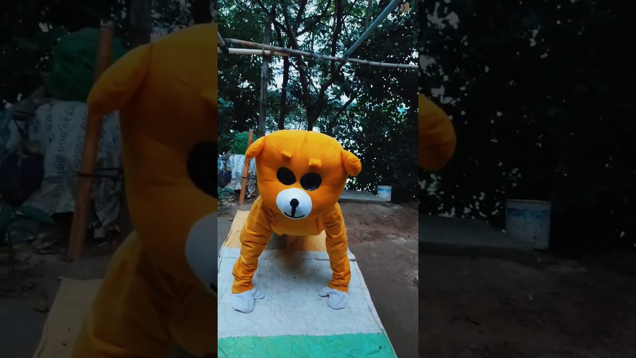 Bihar teddy 🤣🤣🤣