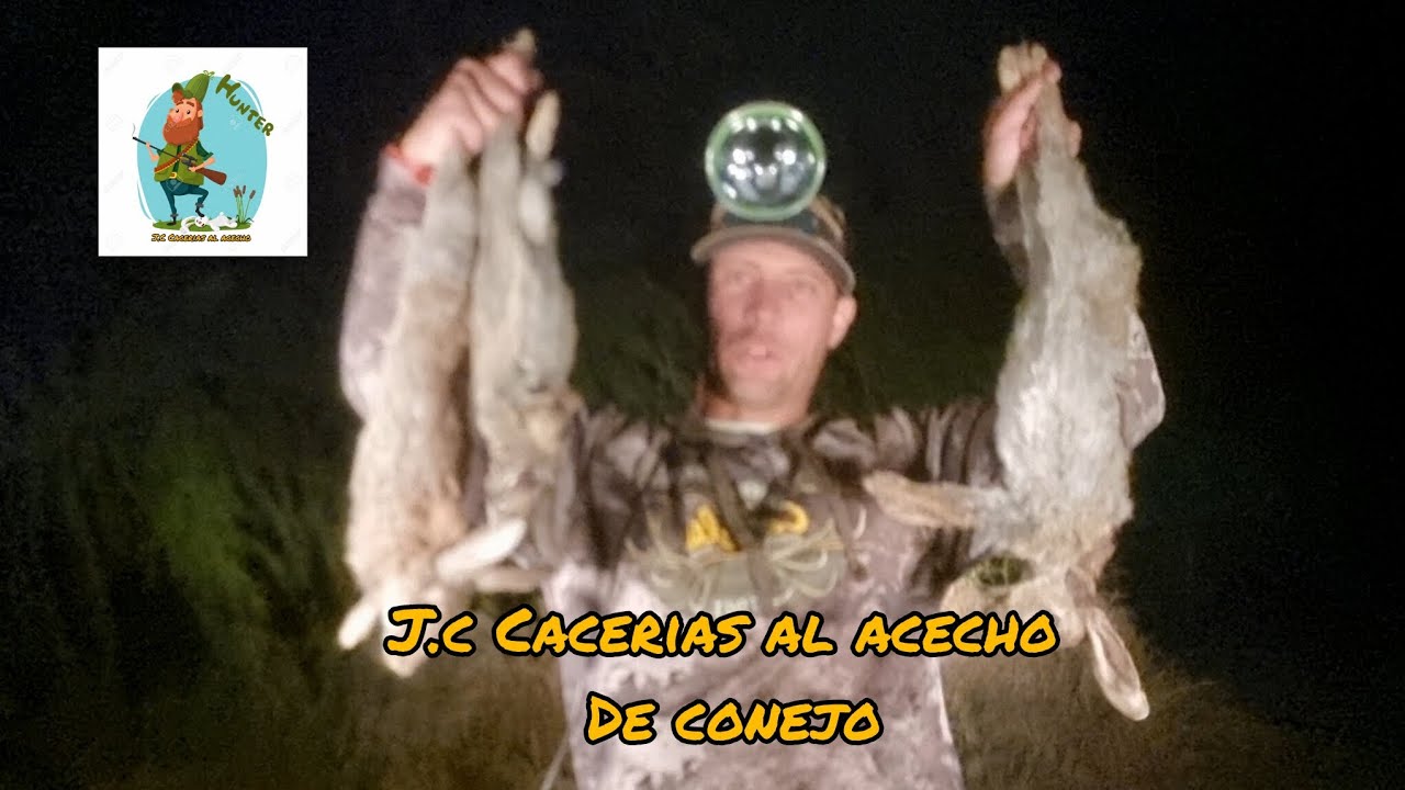 Caza de conejo al acecho y modo infantería nocturna. Rifle M25 modificado. 