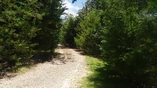 Nice Summer Day. Nacogdoches County, Texas