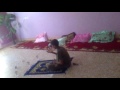 طفل عراقي يستطيع تحريك الاشياء ذهنيا شاهد ولن تصدق عيناك