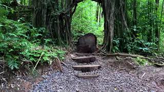Manoa Falls Hike Honolulu, Hawaii 2021 4K Oahu