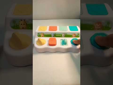 funny animals#popup#toys#ytshorts