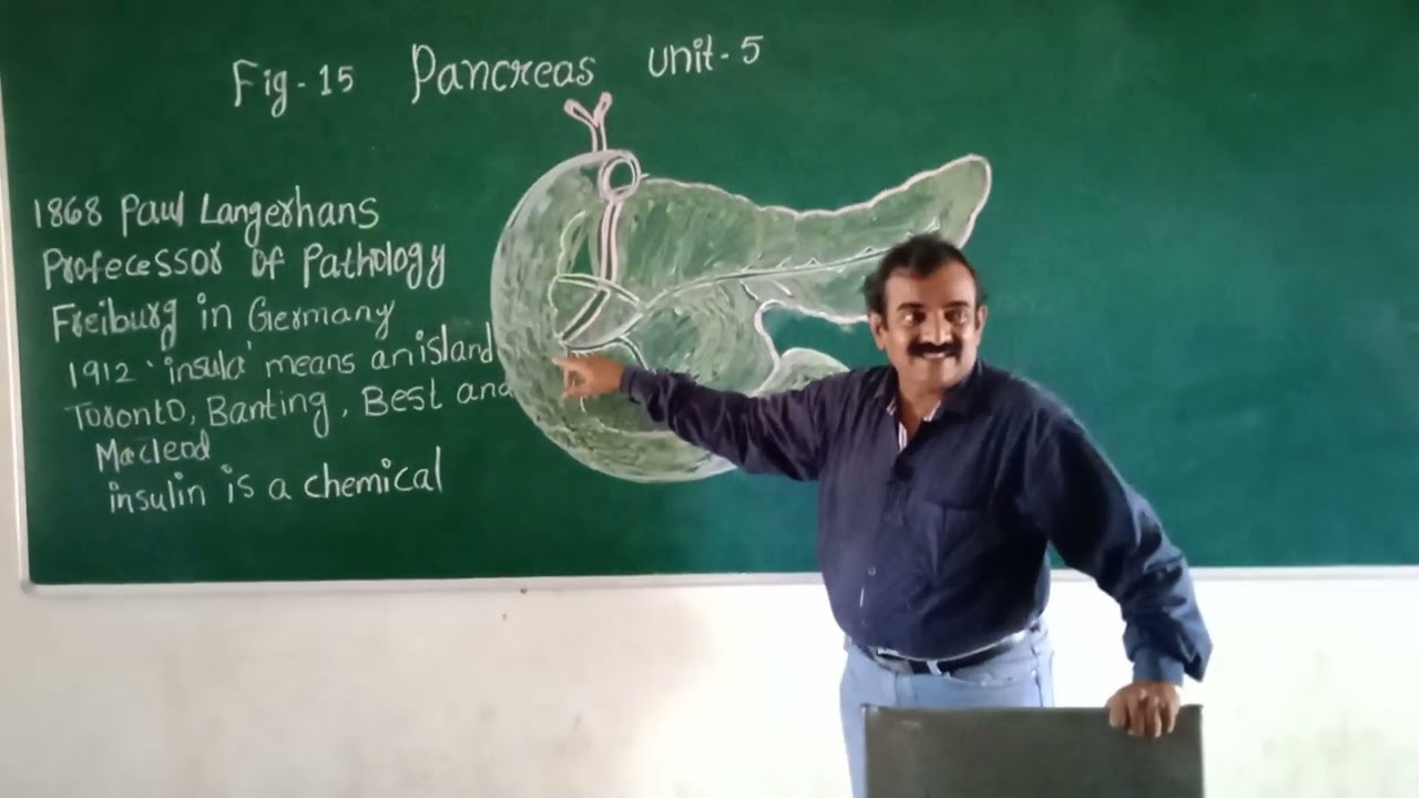 Banala jaya raj sir explaining about story of insulin class-x. page number105 and 106.