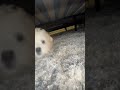 The Monster Under Your Bed