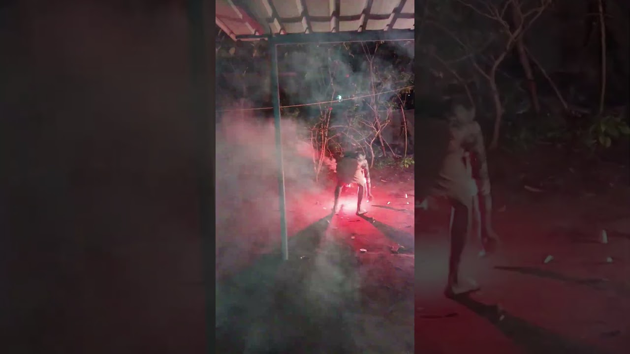 second day vishu vibe 2025