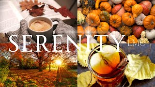 Download Lagu SERENITY LMC - \ MP3