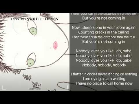 Leah Dou 검정치마 Fruit Fly 가사 