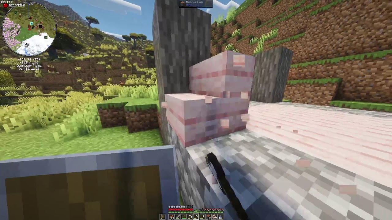 The Start of My Minecraft Forever World pt. 2