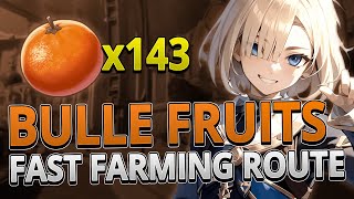 Bulle Fruits 143 Locations FAST FARMING ROUTE | Genshin Impact 4.0 screenshot 2