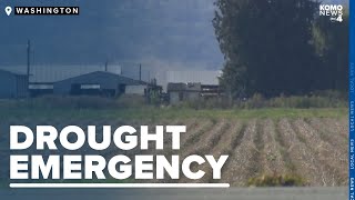 Drought emergency declared for most of Washington state by KOMO News 3,510 views 1 day ago 2 minutes, 4 seconds