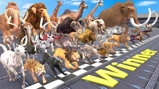 Ultimate Race 30 Wild Animals Speed Challenge Who is the Fastest Animal Revolt Battle Simulator