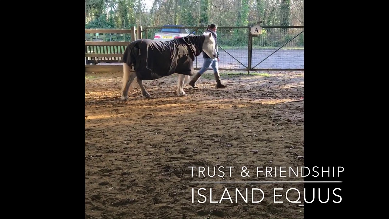 Trust and Friendship