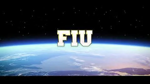 FIU in 2030