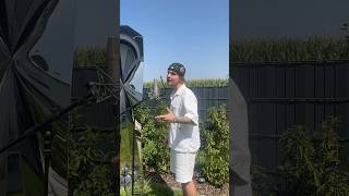 Residuals - Chris Brown