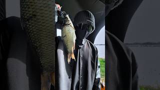 Outdoor Cooking (Day-16)🐠 #shorts #outdoorcooking #seafood #barbeque #bentobox #foodie #day16