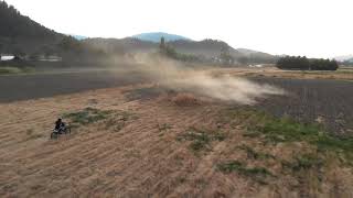 Free Creature On A Dirt Bike