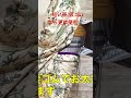 短い帯には仮ゴムを使うのがお勧めです^^