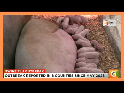 Farmers seek intervention as swine flu reported in 8 counties