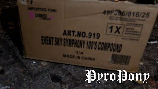 Sky Symphony 100sh Rubro Vuurwerk 2025/26 4K