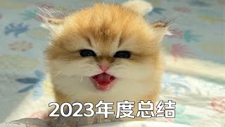 请查收牛角包食堂2023年度报告