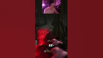 Plot Twist Is A Fun Perk ( Dead By Daylight ) #shorts