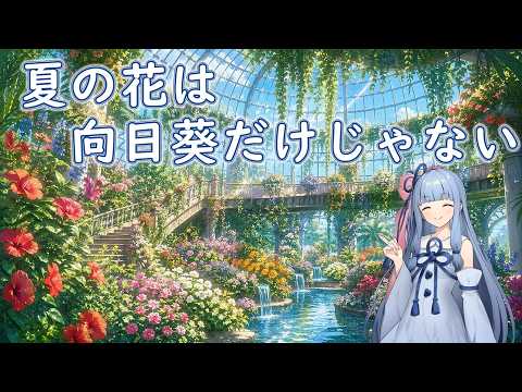 Yumi - YouTube