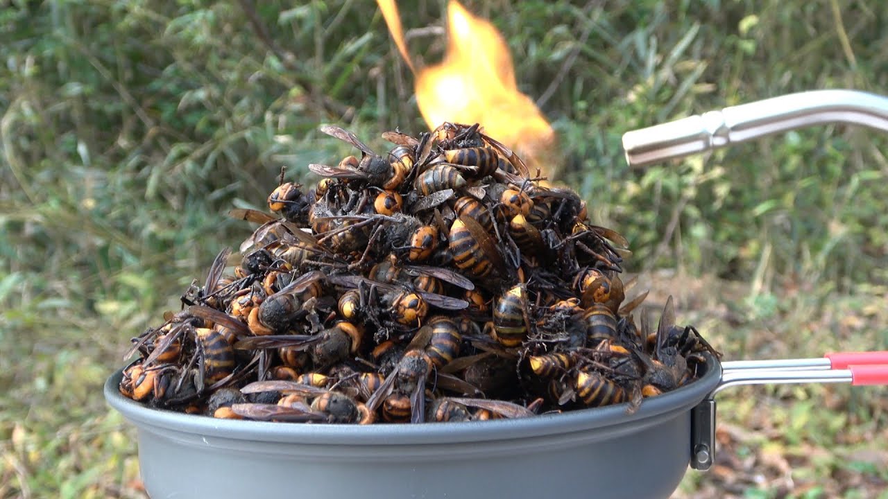 甕 素焼き スズメ蜂の巣模様 エリー242 甕 素焼き スズメ蜂の巣模様 エリー242 - メルカリ