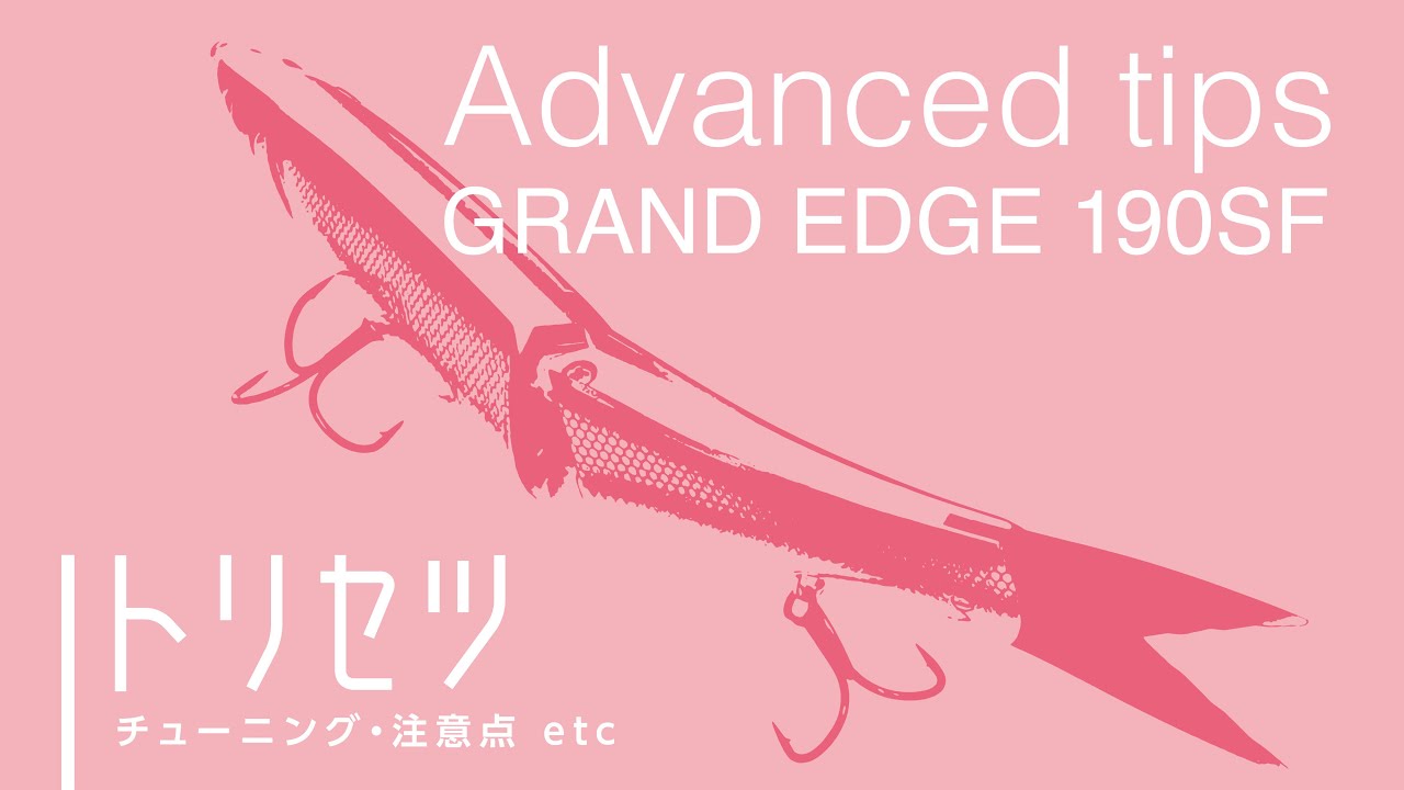 Lot 2 Grand Edge 190SF Leurres #002 Rainbow + #007 Shad – Brochet