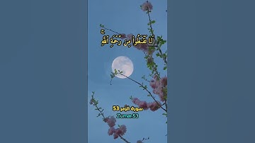 سورة الزمر 53|53 zumar