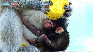 Newborn Lucas Holding Mom Leyla Eating Mango Tightly Grandma Peggy Is Nearby Her Grandson Lucas.