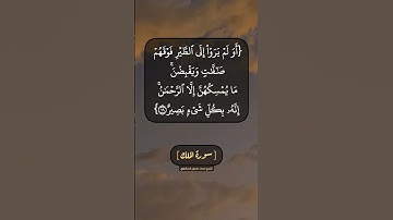 سورة الملك الآية ١٨ الى ٢١ بصوت الشيخ محمد صديق المنشاوي