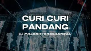 DJ SA SUKA CURI CURI PANDANG (DJ MALBAR) - BASSGANGGA - FULLBASS TIK-TOK VIRAL