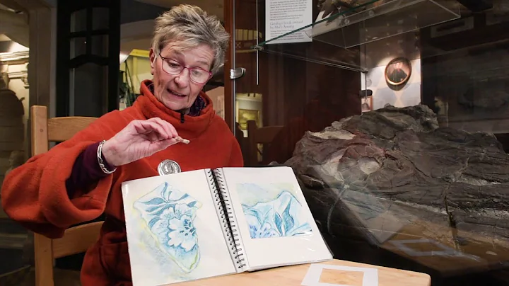 Museum at Home, Drawing Tips from Christine Allison