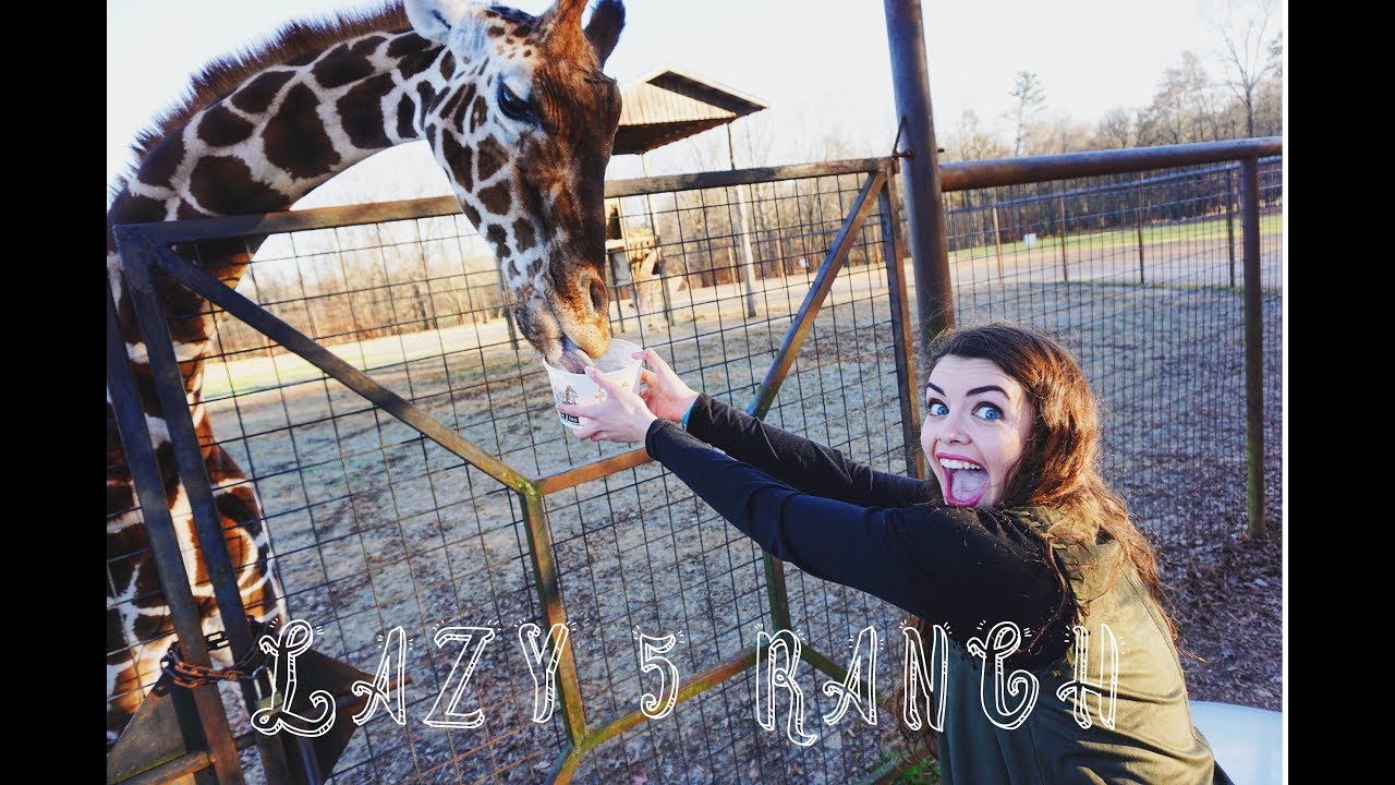 A Day at Lazy 5 Ranch