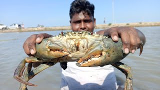 King Of Big Size Crab Hunting and Cooking|கோடியகரையில் கட்டு நண்டு வேட்டை|Village Food Safari|Suppu