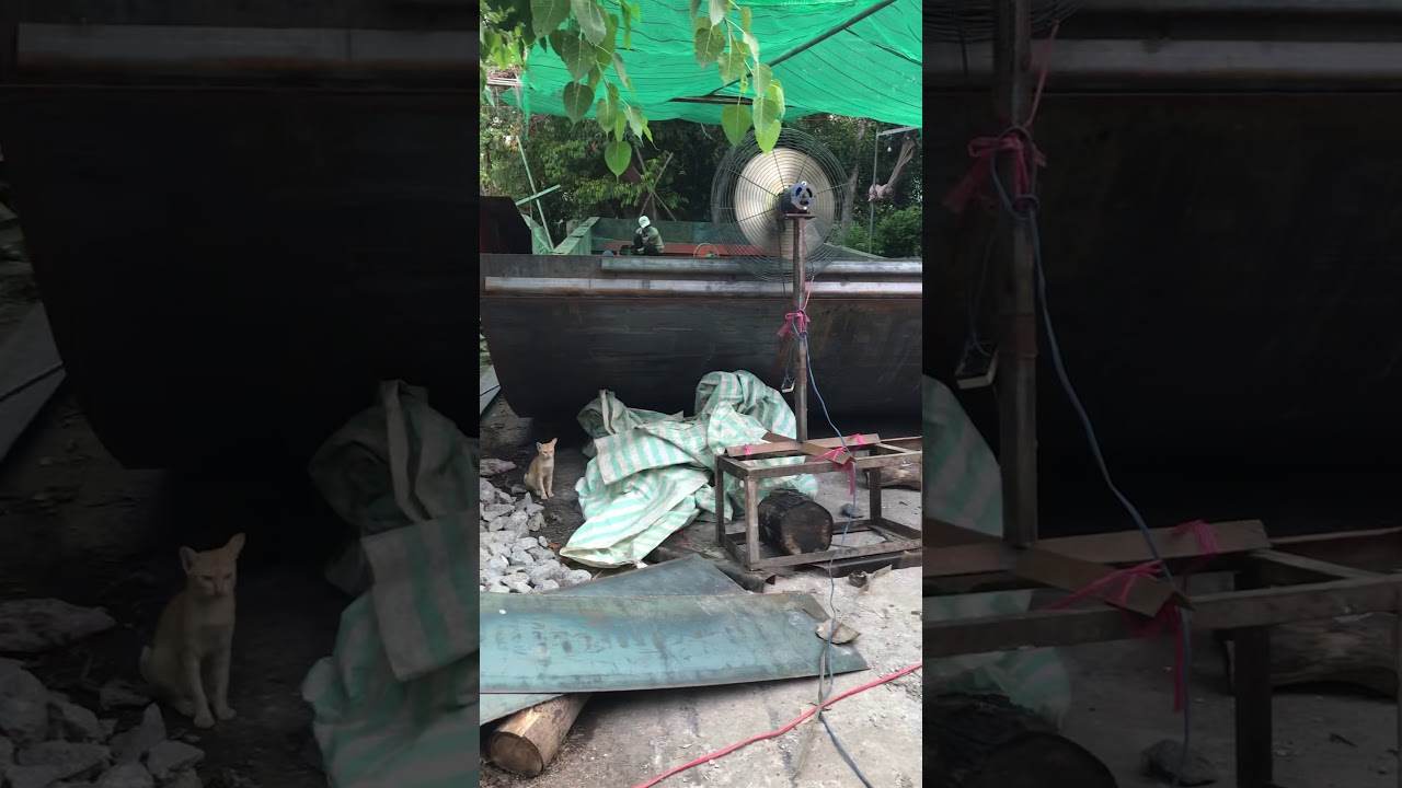 Chuyên đóng mới phà máy cắt cobe có trao đổi và bán pha cũ