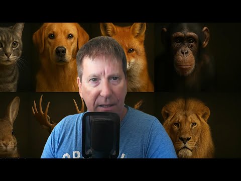 DO ANIMALS HAVE SOULS?