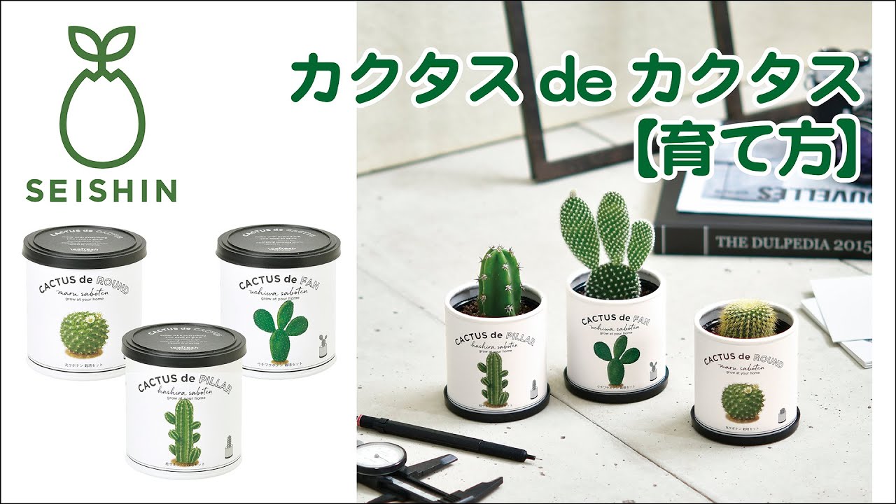 CACTUS - おっくー 栽培キット 家庭菜園 おうち菜園 丸サボテン 柱サボテン ウチワ