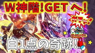 【FEH】♯3750　W神階英雄！ガトー＆フォデス 白一点!40回でW GETを目指せ！