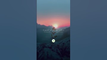 سورة العنكبوت _ " الآية 58 - 59 - 60 "  🕋