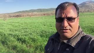 Ürküden Anlatmaya Gerek Yok😊