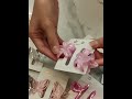 Presilhas de Cabelo em Acrílico com Design Iridescente