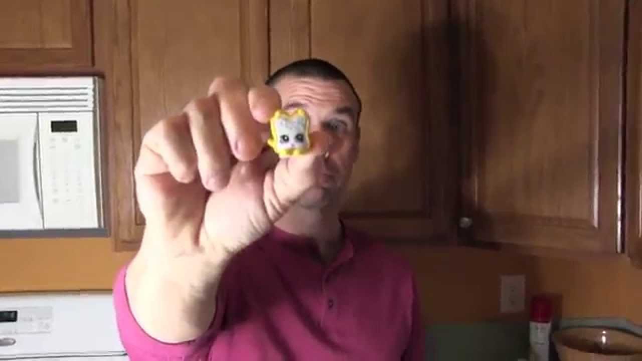 fairy crumbs shopkin