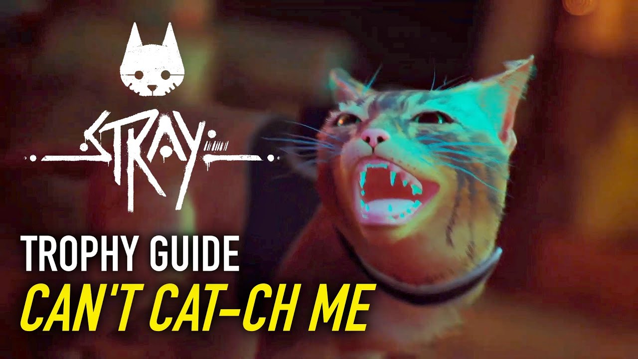 STRAY Can't Catch Me Trophy Guide Chapter 2 Zurk Pursuit YouTube