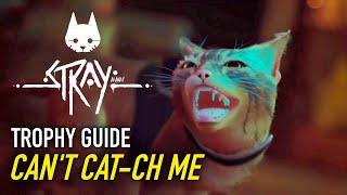 STRAY - Can't Cat-ch Me Trophy Guide - Chapter 2 Zurk Pursuit