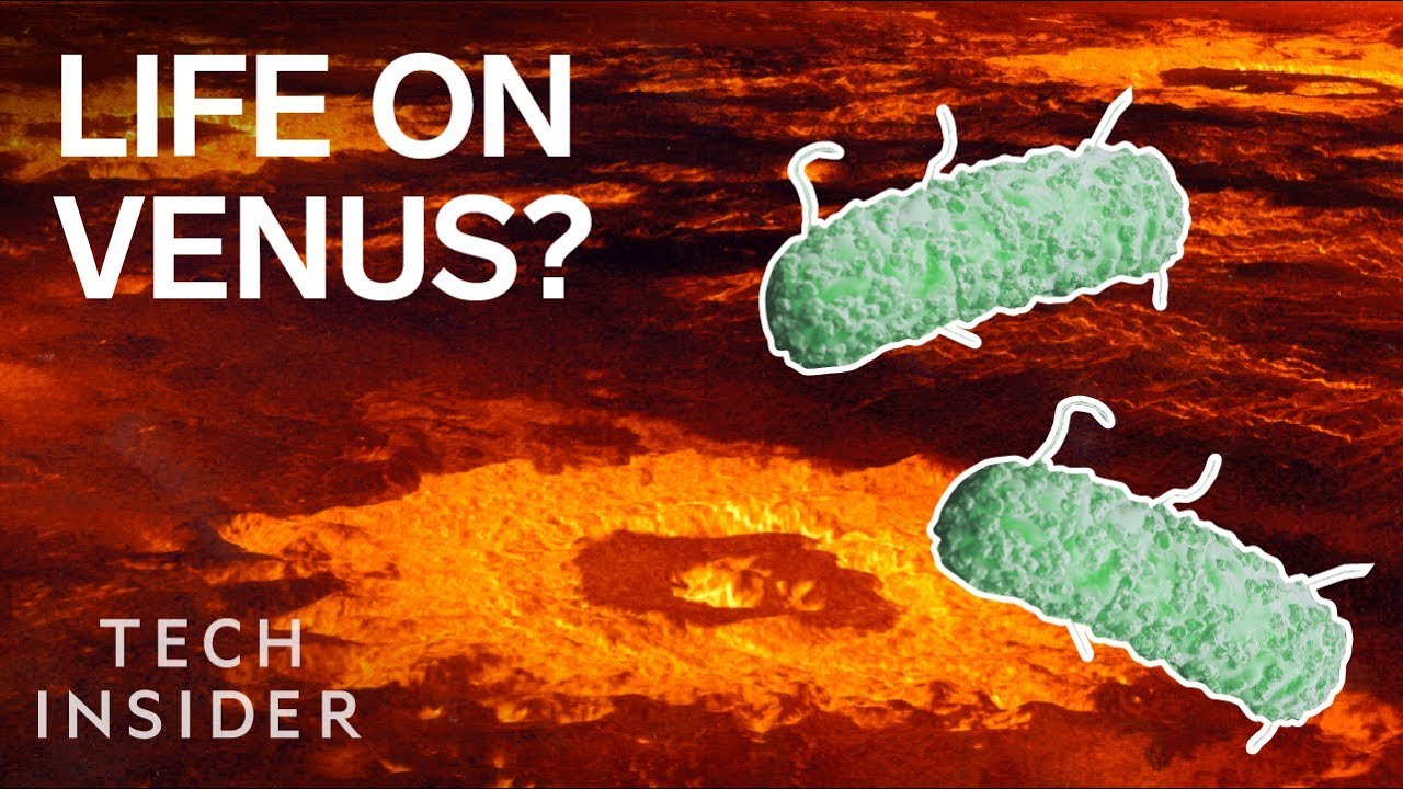 bacterial transformation Forget Mars — There Could Be Alien Life On Venus