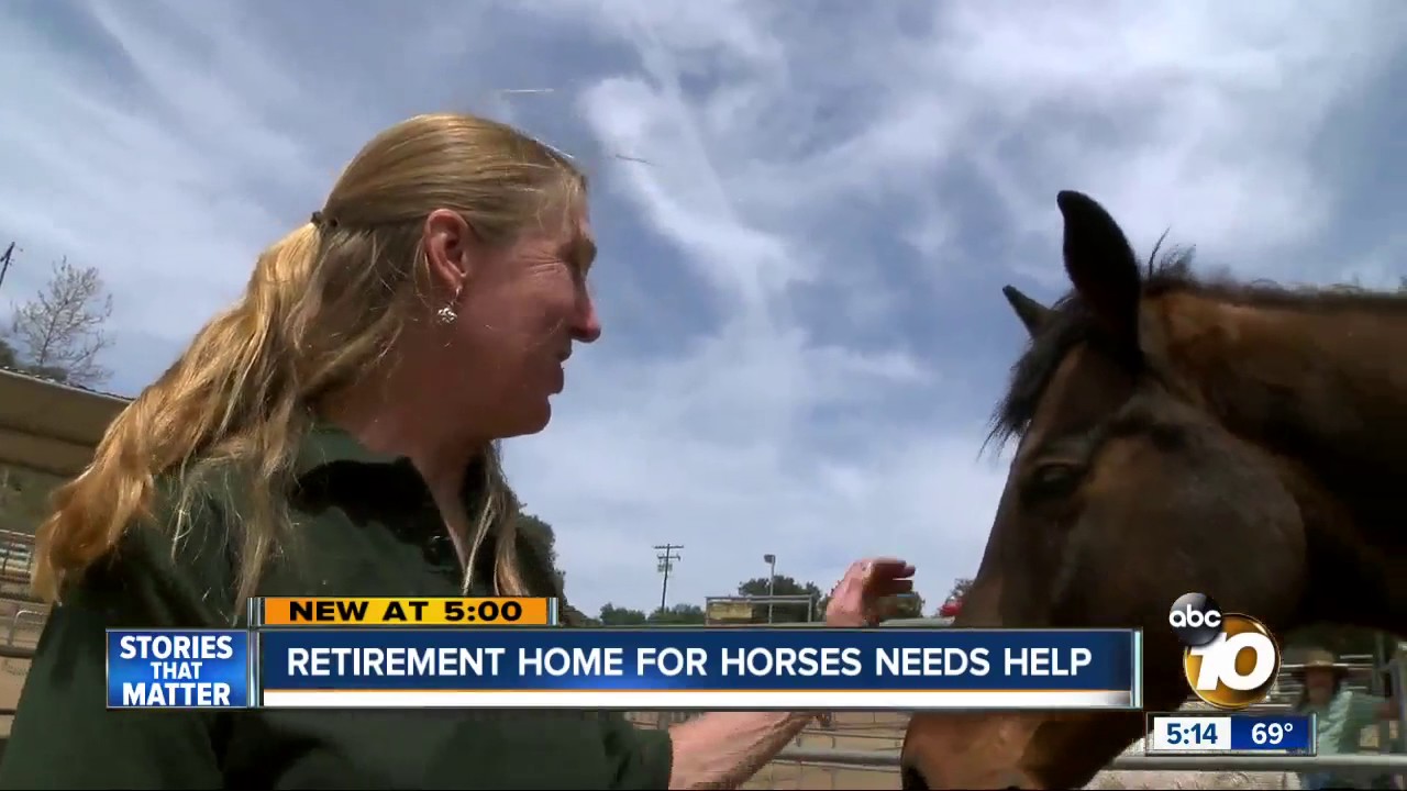 Retirement home for horses needs your help YouTube